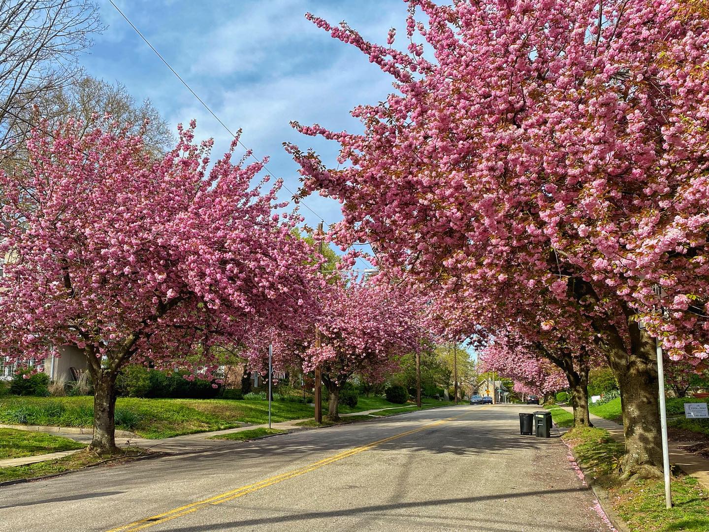 Get Outside Without Leaving Home – The Academy of Natural Sciences