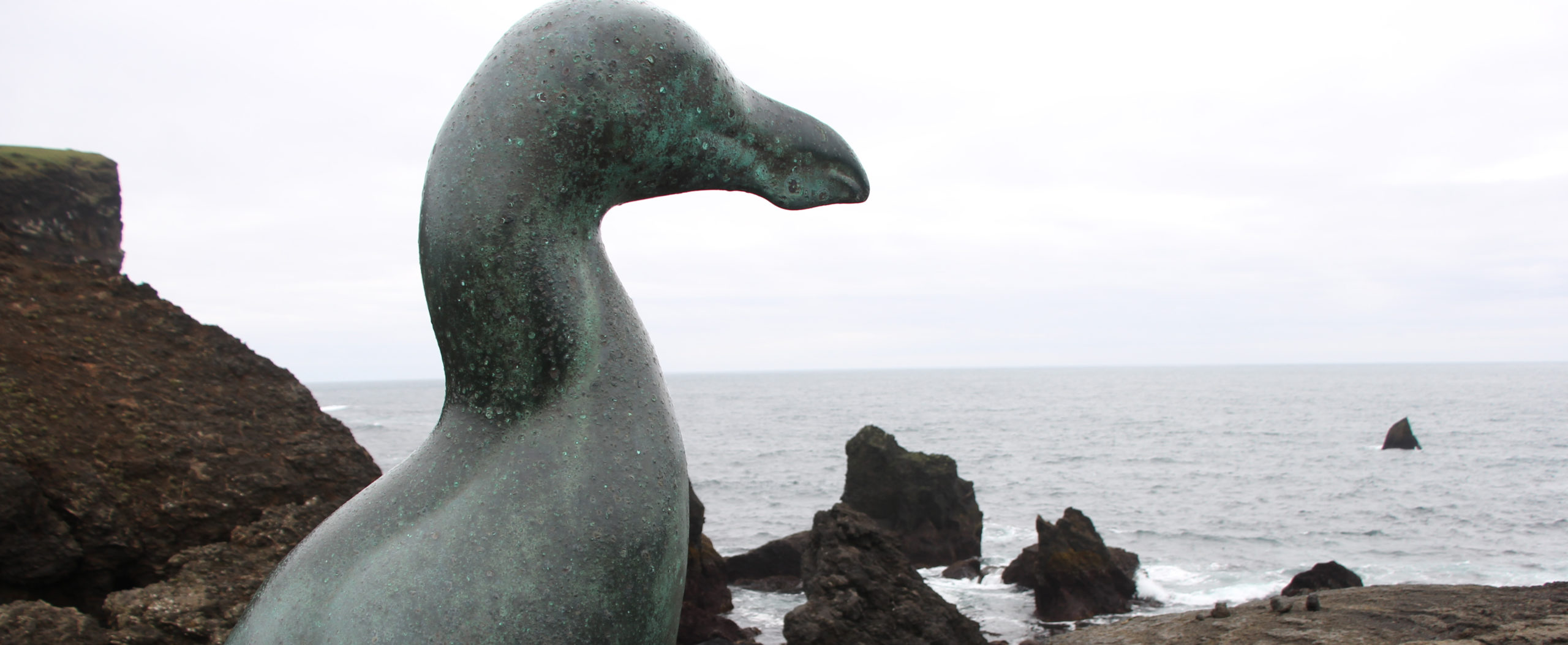 Remembering the Great Auk – The Academy of Natural Sciences