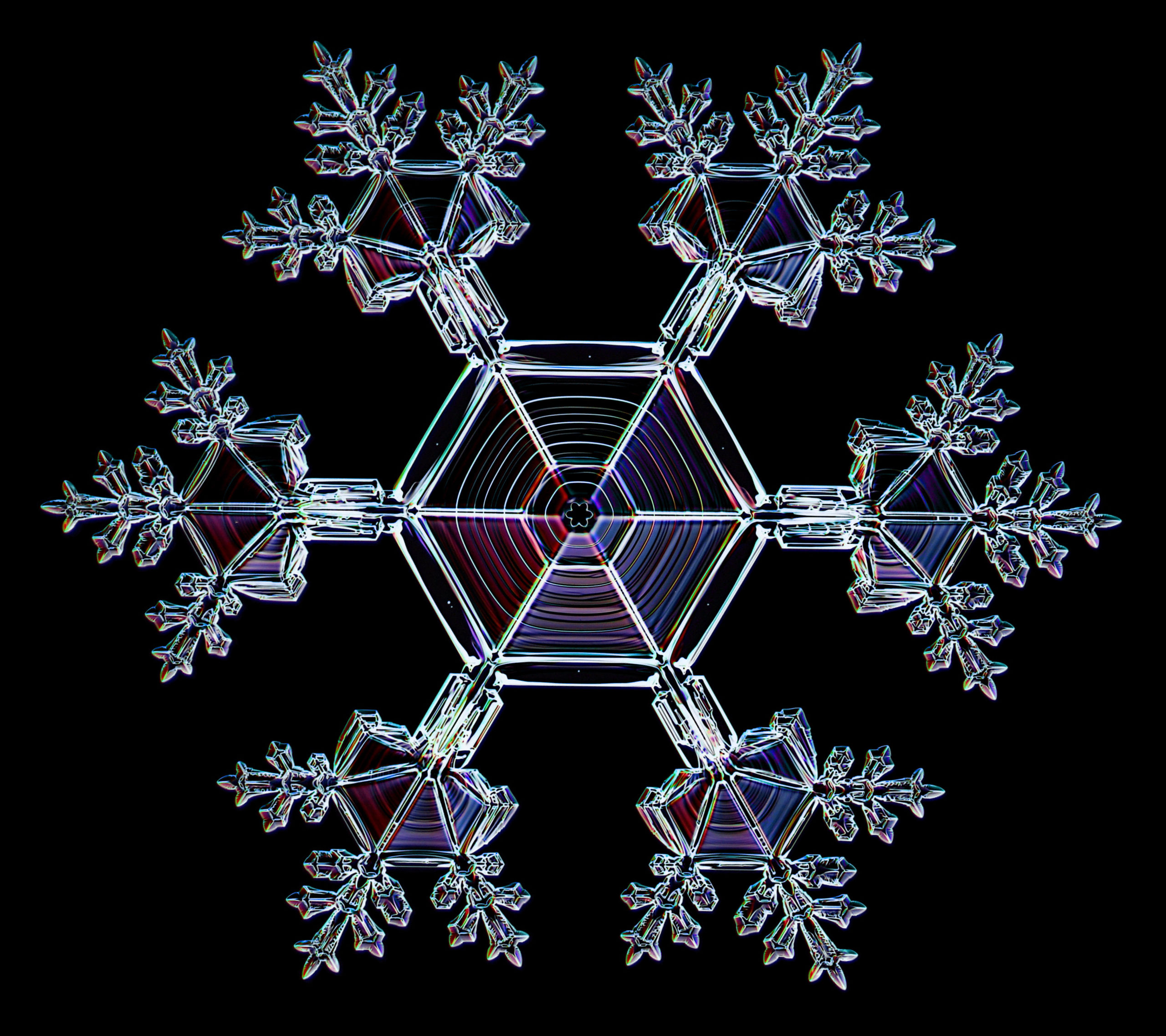 Ice Ih  The Fascination of Crystals and Symmetry
